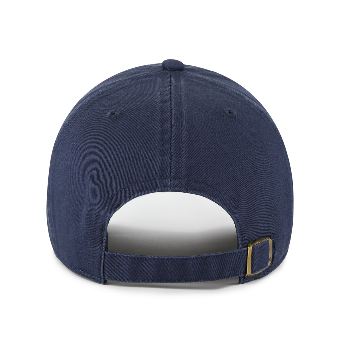 ARIZONA WILDCATS CACTUS VINTAGE '47 CLEAN UP