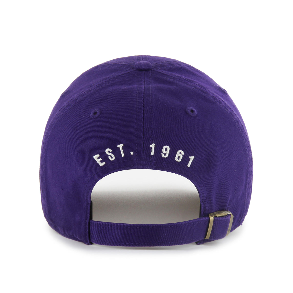 MINNESOTA VIKINGS HARD HAT '47 CLEAN UP
