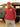 Woman standing Car wearing a Philadelphia Phillies, red sweatshirt and red clean up