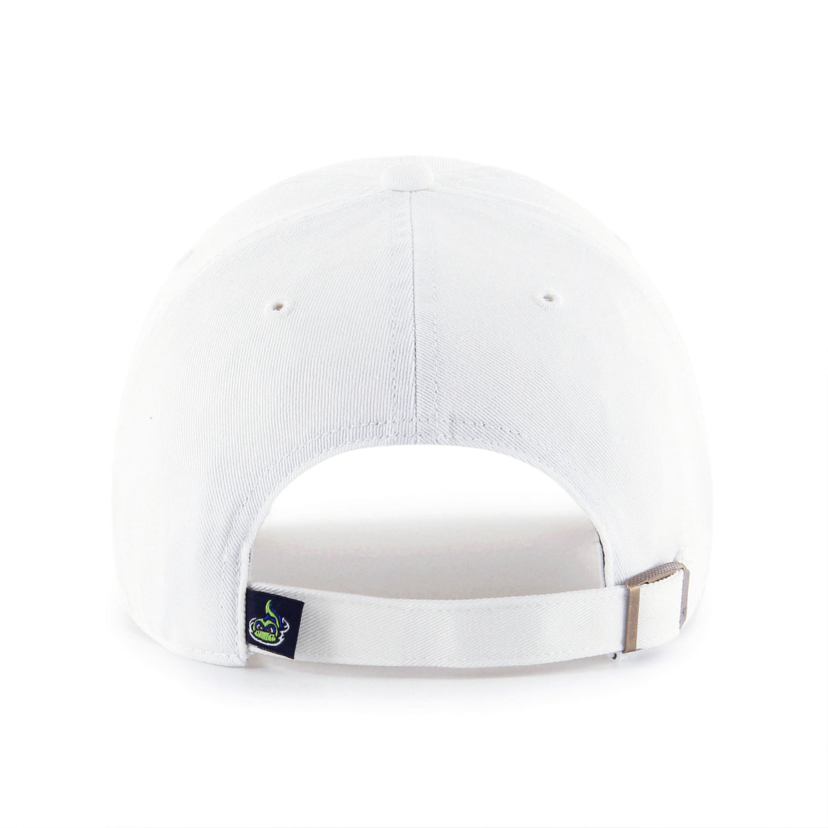VERMONT LAKE MONSTERS '47 CLEAN UP
