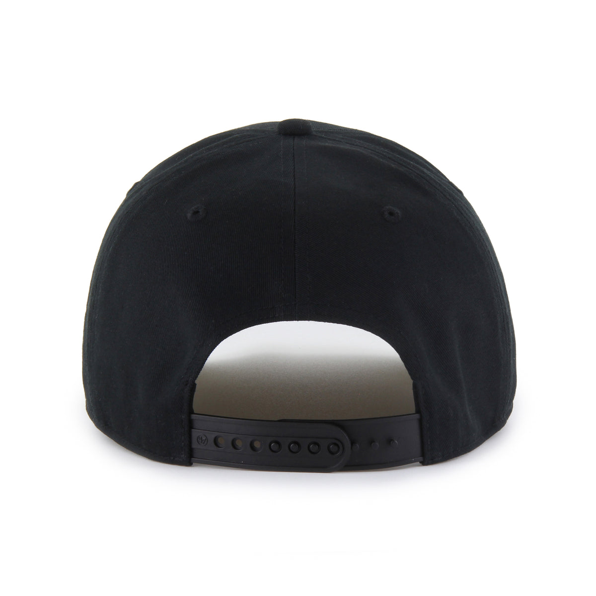 DALE EARNHARDT JR. / JR. MOTORSPORTS ROSCOE '47 HITCH