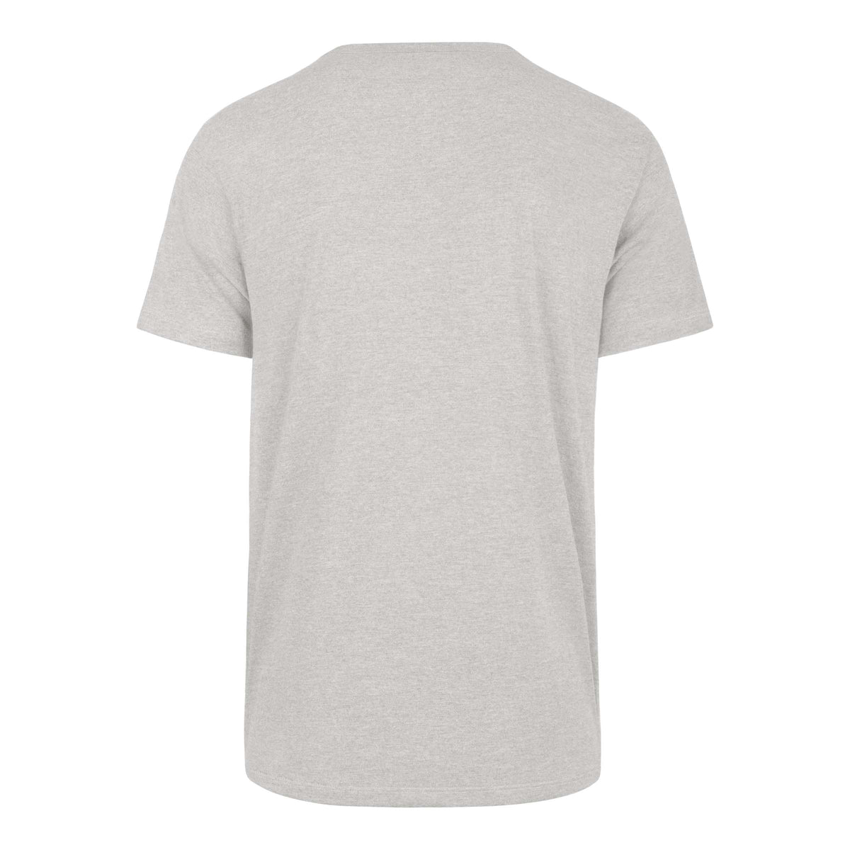 GEORGIA BULLDOGS 2022 CFP NATIONAL CHAMPS '47 FRANKLIN TEE