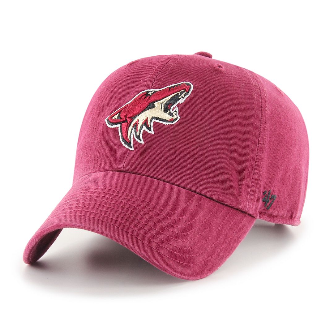 ARIZONA COYOTES '47 CLEAN UP