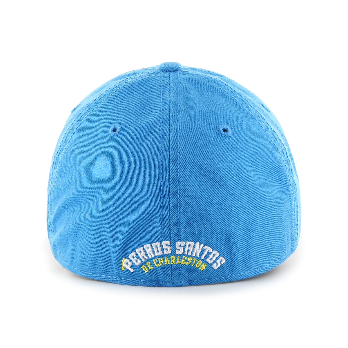 CHARLESTON RIVERDOGS COPA CLASSIC '47 FRANCHISE