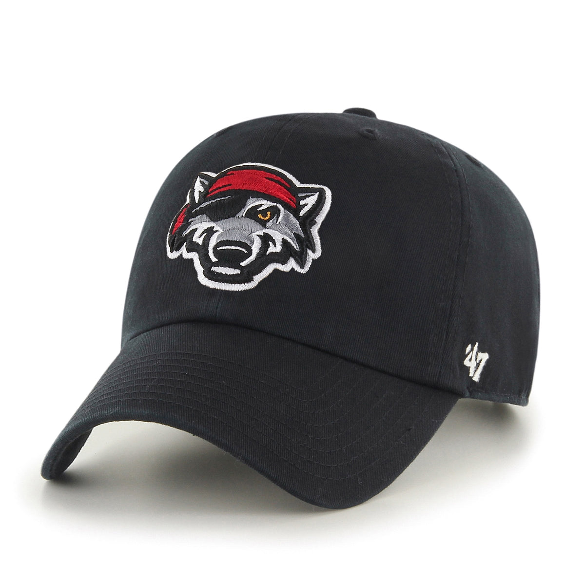 ERIE SEAWOLVES '47 CLEAN UP