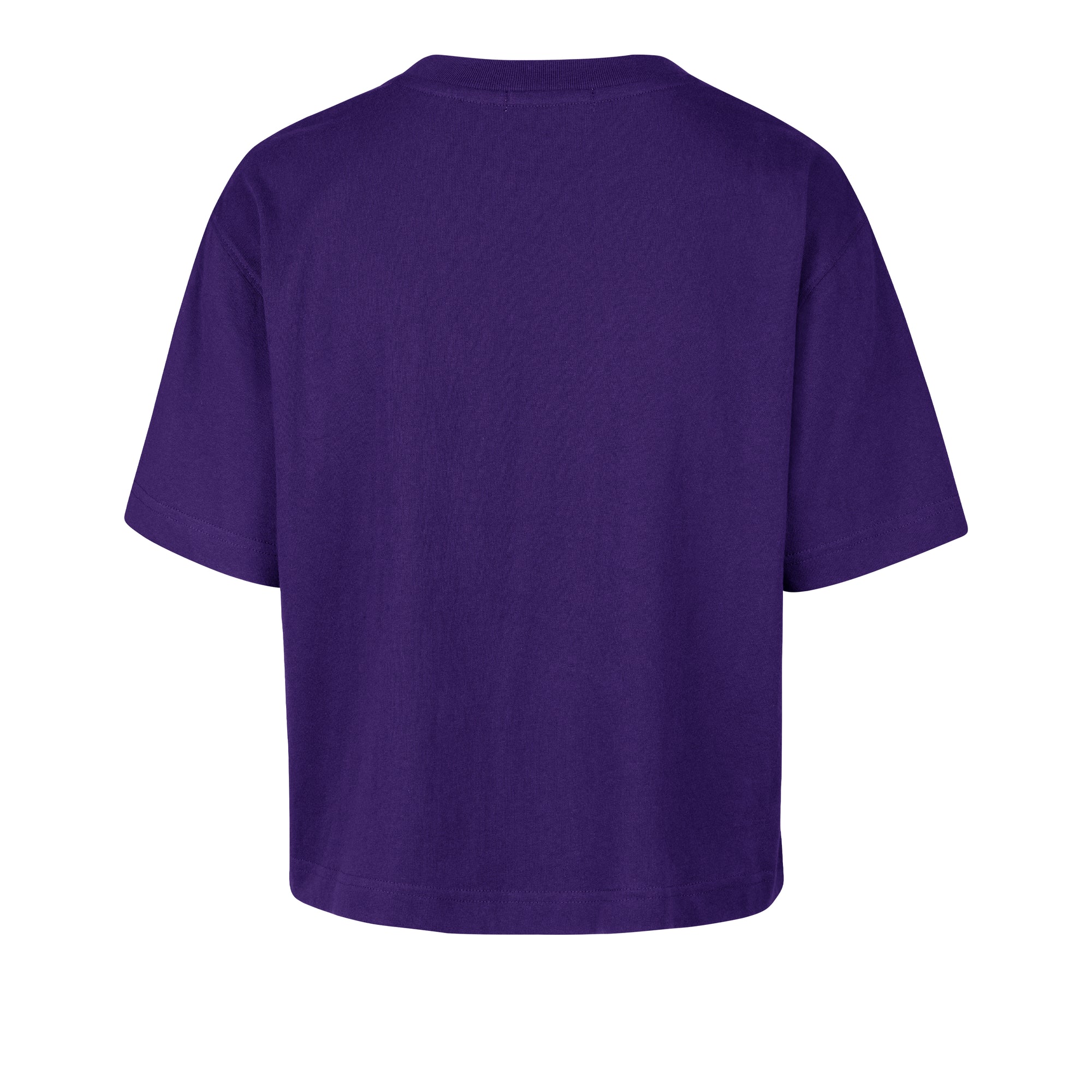LOUISIANA STATE TIGERS LSU FIRST RANK '47 FOUNDATION CROP TEE WOMENS