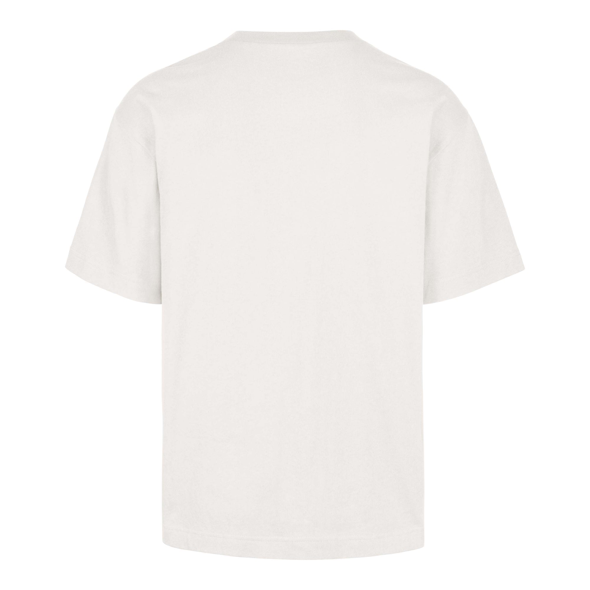 MINNESOTA VIKINGS PLAYBRUSH '47 FOUNDATION TEE