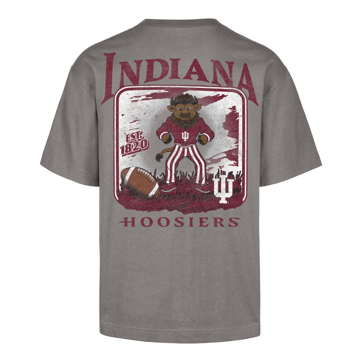 INDIANA HOOSIERS REGIONAL BACKER '47 FOUNDATION TEE