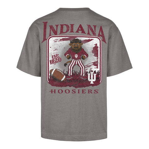 INDIANA HOOSIERS REGIONAL BACKER '47 FOUNDATION TEE