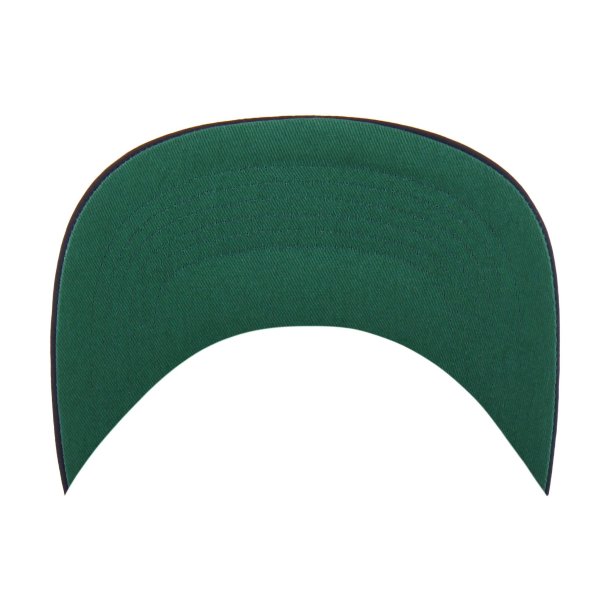MINNESOTA TWINS FRAME OUT NYLON '47 HITCH
