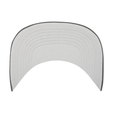 MINNESOTA GOLDEN GOPHERS '47 HITCH