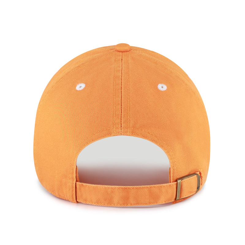 TENNESSEE VOLUNTEERS MASCOT MANIA '47 CLEAN UP
