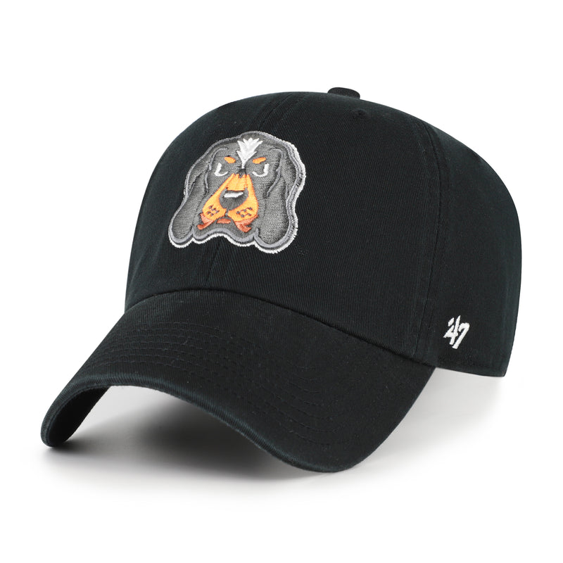 TENNESSEE VOLUNTEERS '47 CLEAN UP