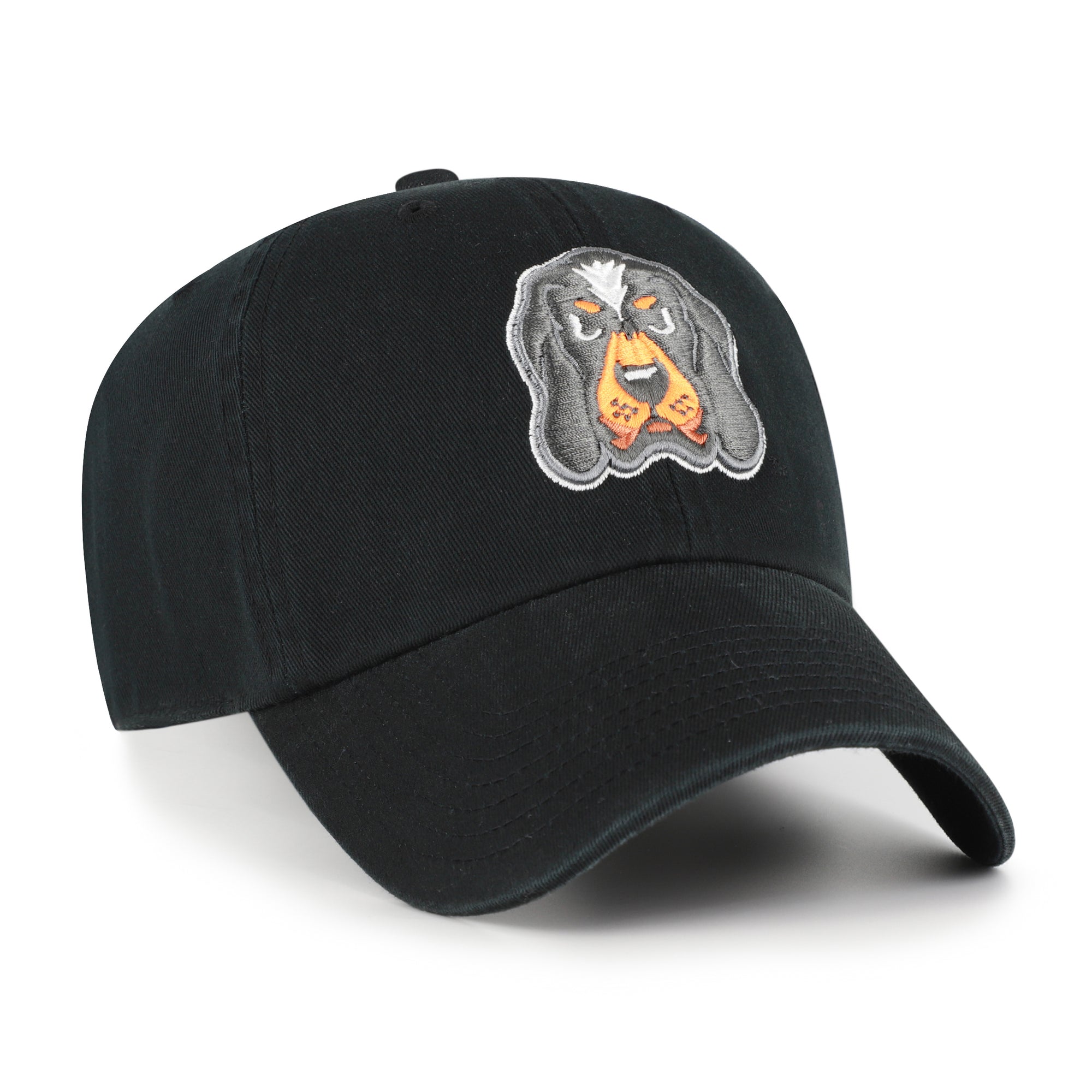 TENNESSEE VOLUNTEERS '47 CLEAN UP