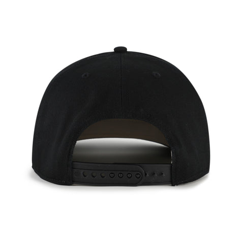 MICHIGAN WOLVERINES POMONA '47 HITCH