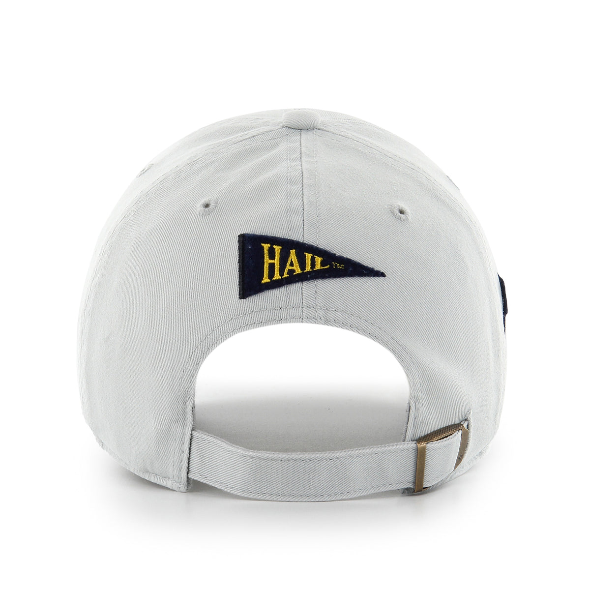 MICHIGAN WOLVERINES PARKE X '47 CLEAN UP