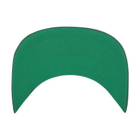 BAYLOR BEARS MANIA '47 HITCH