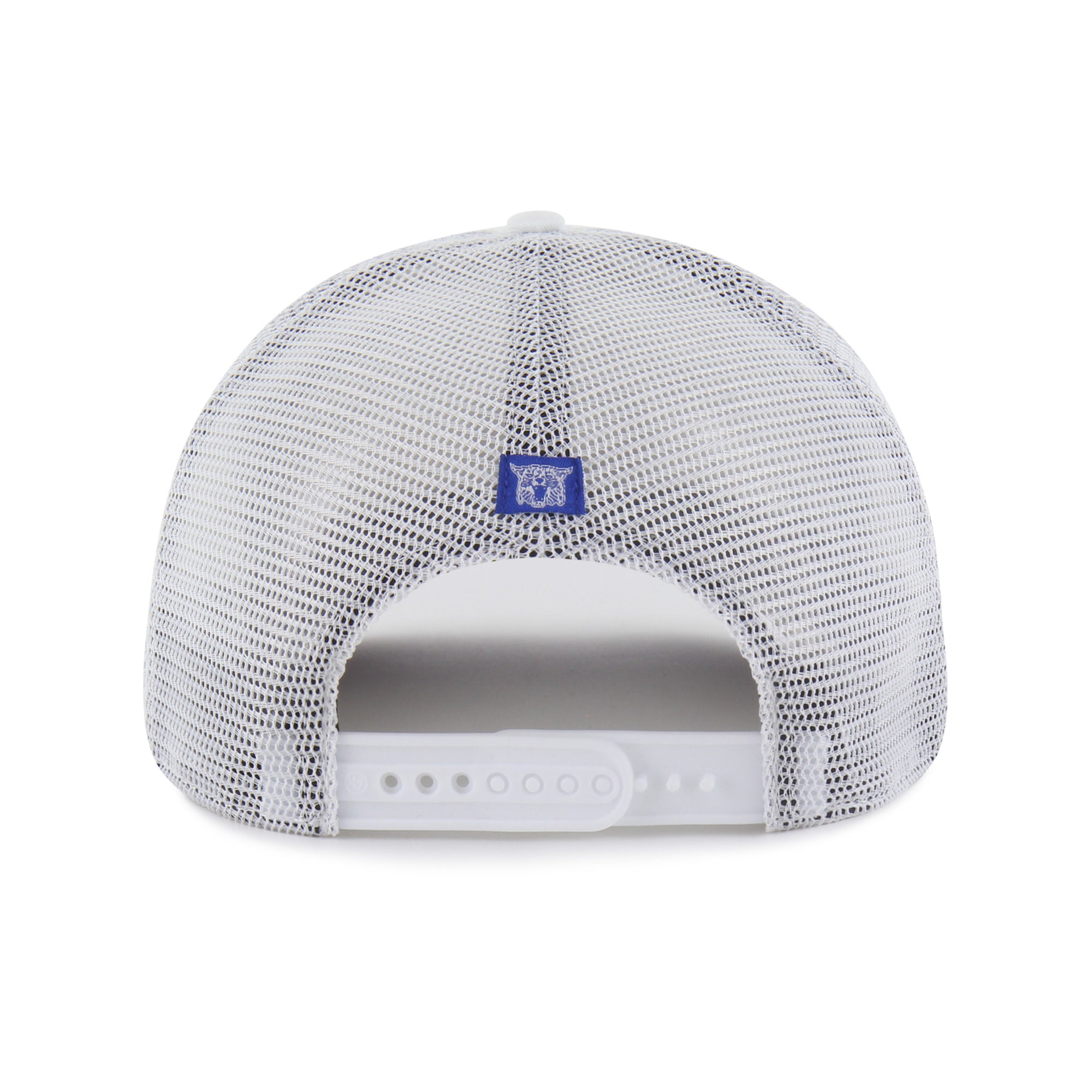 Kentucky Wildcats Vintage Flock Ball '47 Hitch