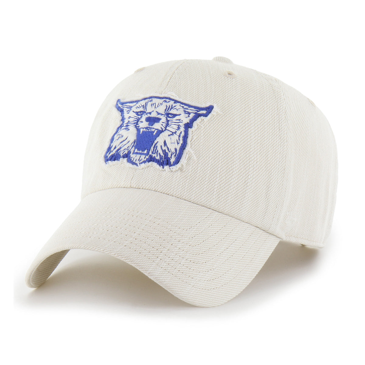 KENTUCKY WILDCATS VINTAGE SLUB TWILL '47 CLEAN UP