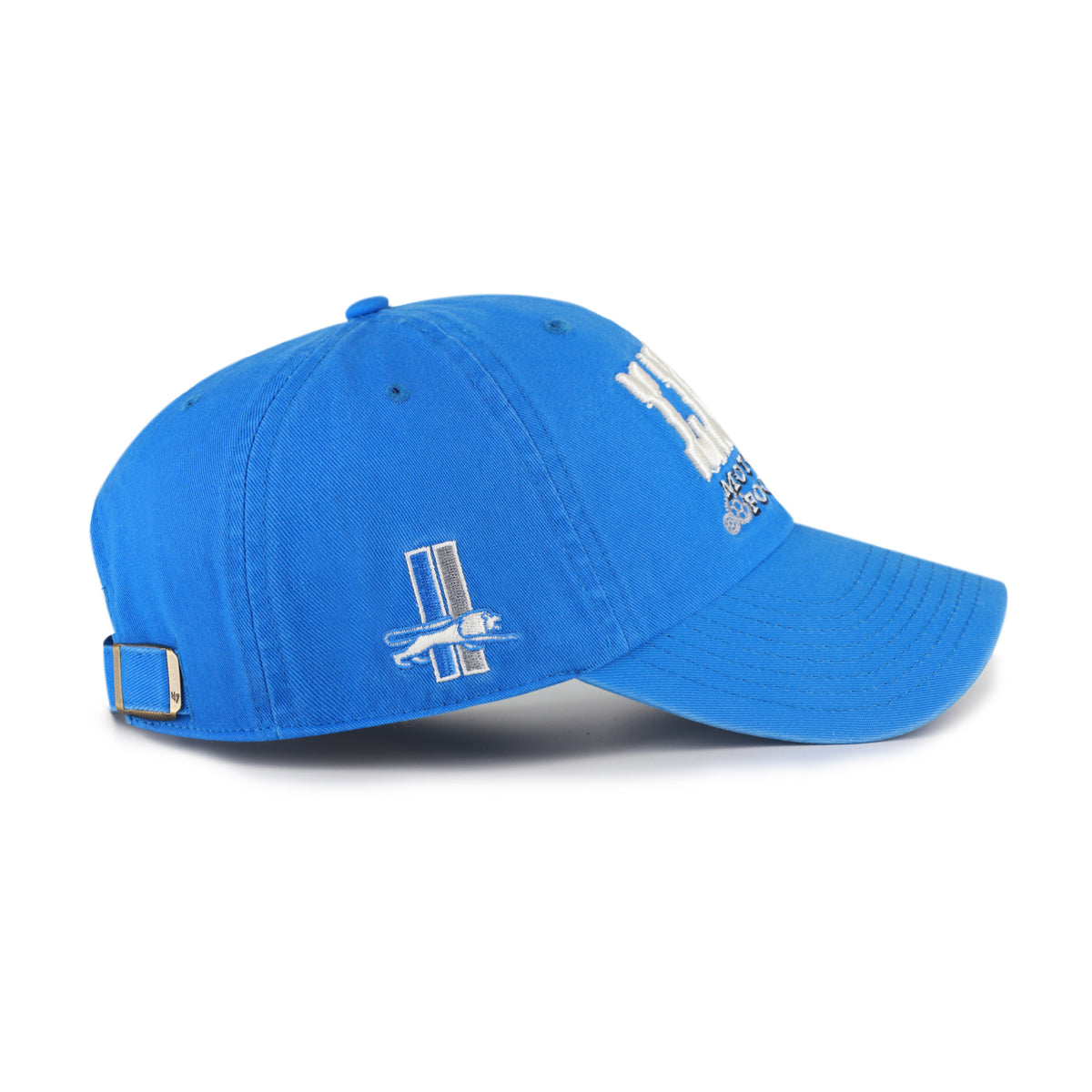 DETROIT LIONS HISTORIC SCRIPT SIDE '47 CLEAN UP