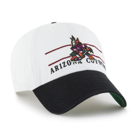 ARIZONA COYOTES ARENA '47 CLEAN UP