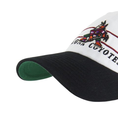 ARIZONA COYOTES ARENA '47 CLEAN UP