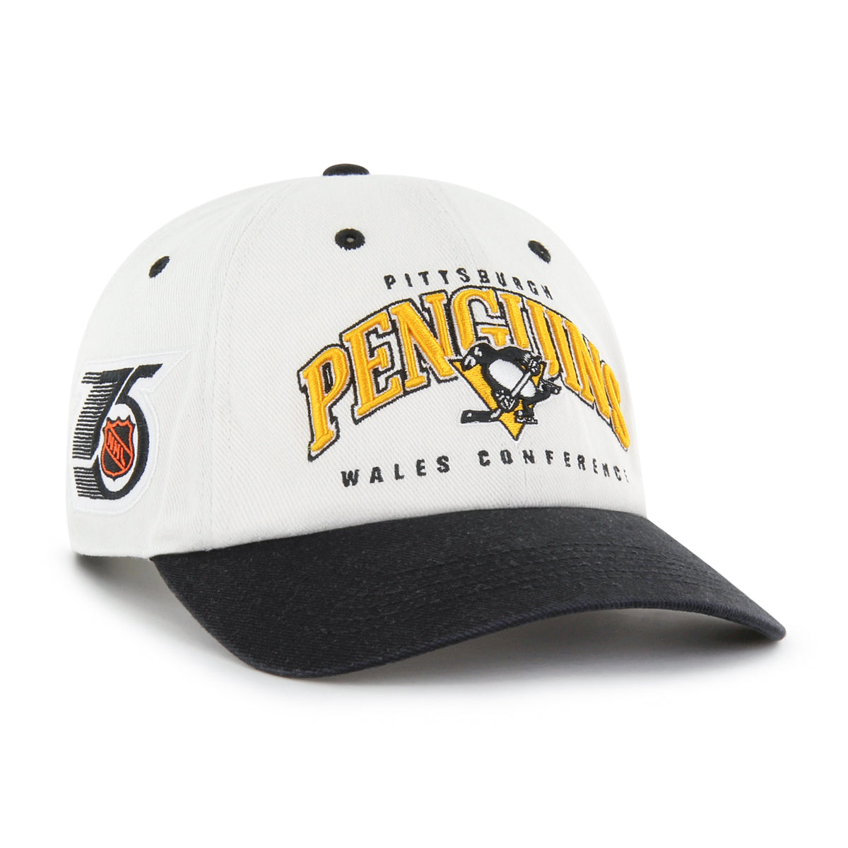 PITTSBURGH PENGUINS VINTAGE RETRO FREEZE '47 CLEAN UP MF MID FIT