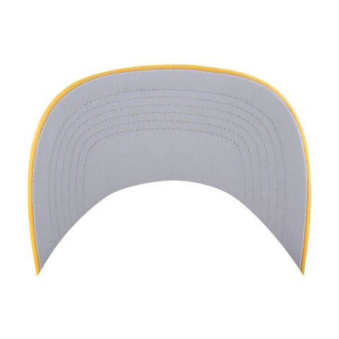 ST LOUIS BLUES VINTAGE RETRO FREEZE '47 HITCH