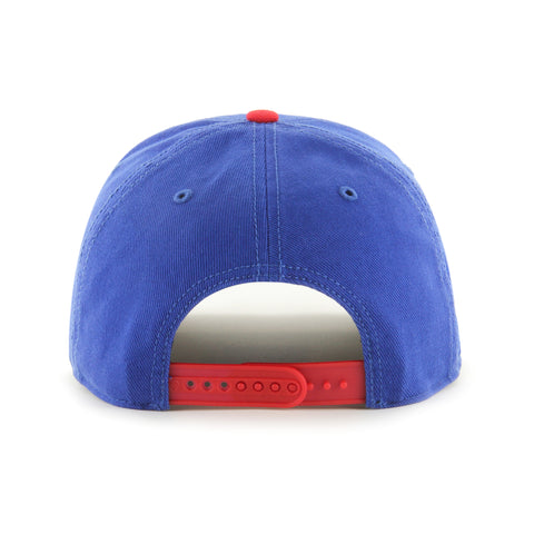 WASHINGTON CAPITALS VINTAGE RETRO FREEZE '47 HITCH