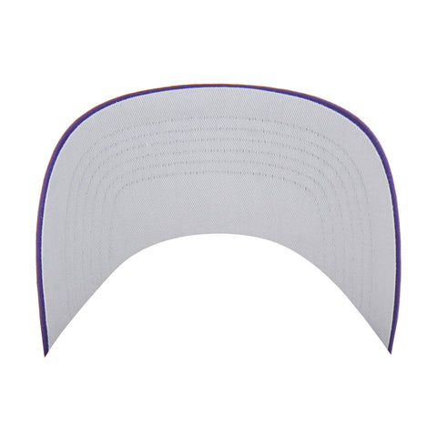 LOS ANGELES LAKERS DIAMOND CUT '47 HITCH