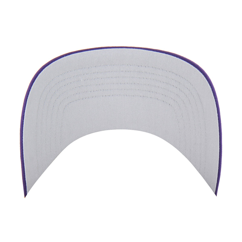 LOS ANGELES LAKERS DIAMOND CUT '47 HITCH