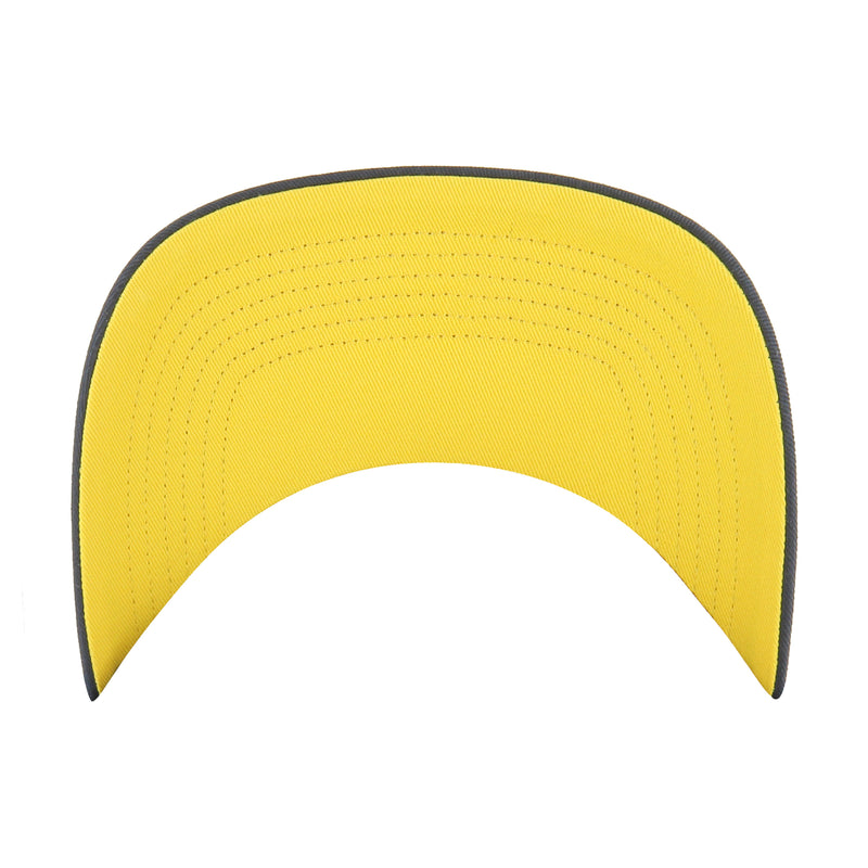 INDIANA PACERS ROSCOE '47 HITCH