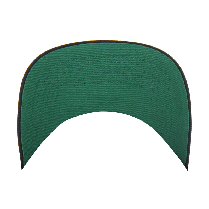 BOSTON CELTICS X SEEN SORRY I WAS HOOPING '47 HITCH