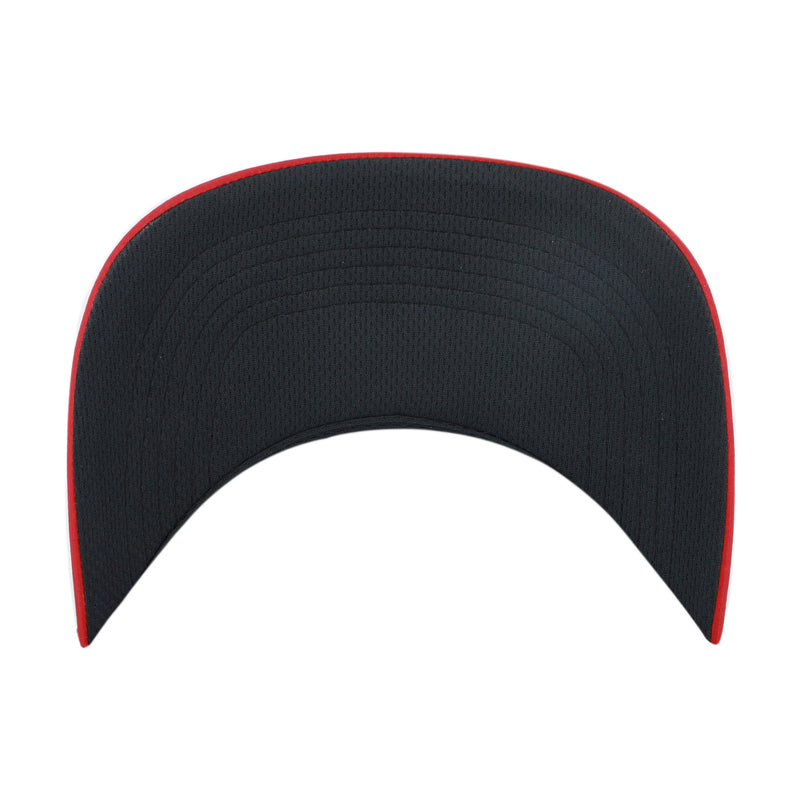 TORONTO RAPTORS DIAMOND CUT BRRR '47 HITCH