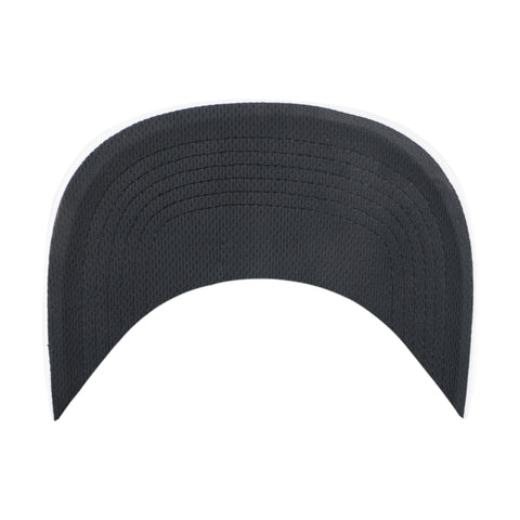 TORONTO RAPTORS RETRO SURF '47 HITCH