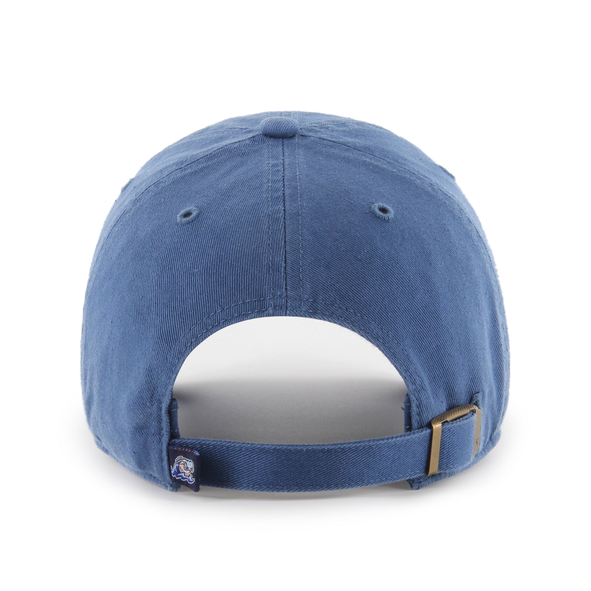 WEST MICHIGAN WHITECAPS '47 CLEAN UP