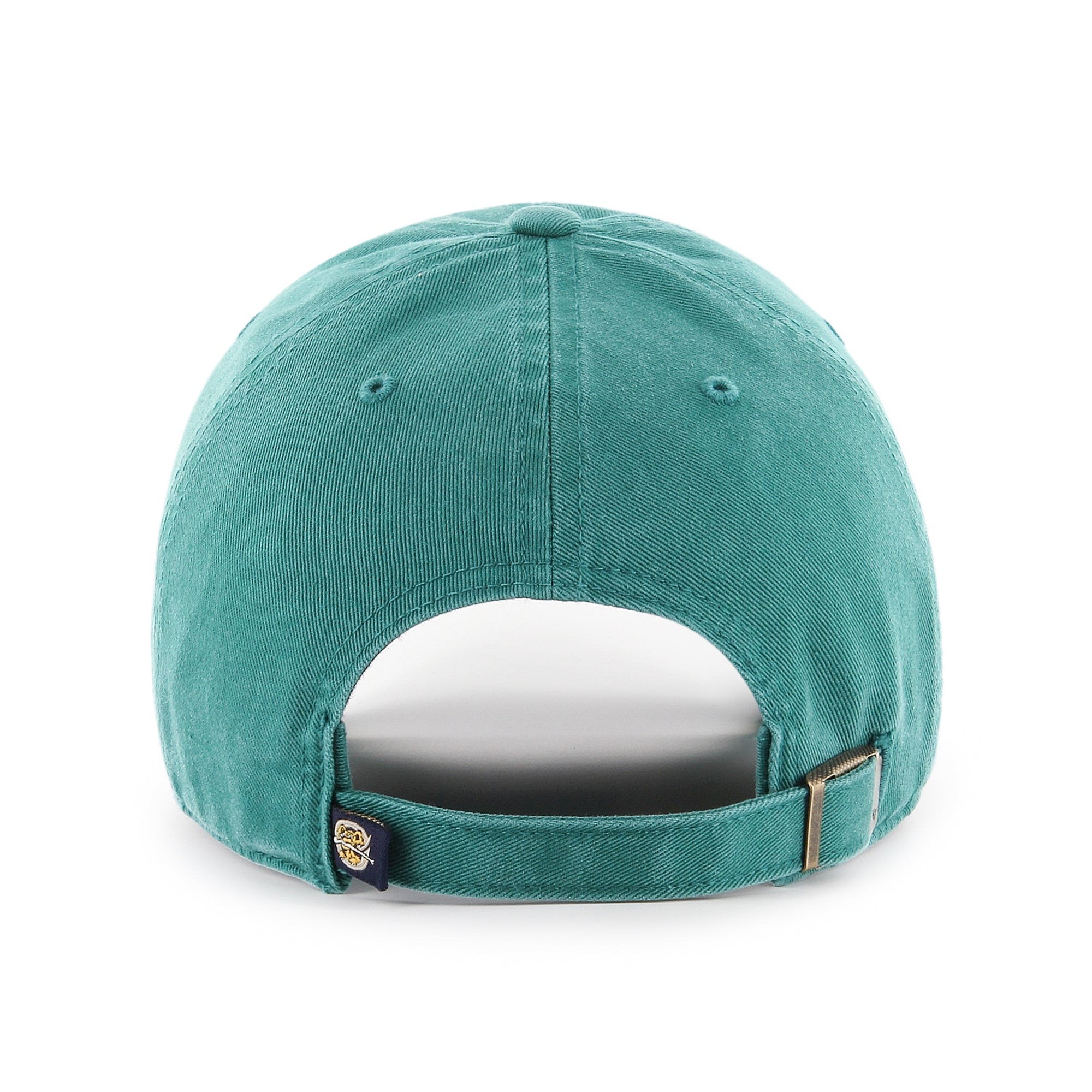 CHARLESTON RIVERDOGS '47 CLEAN UP