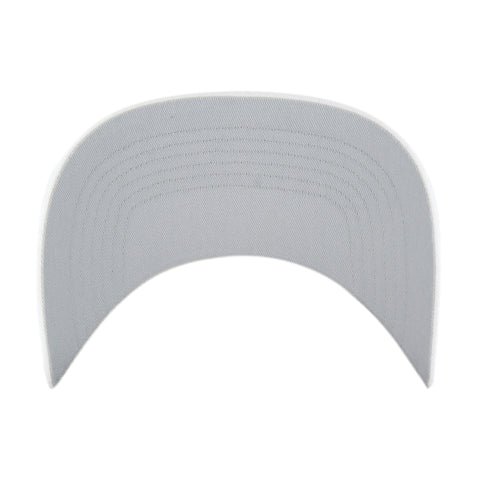 DENNY HAMLIN / JOE GIBBS ROSCOE '47 HITCH