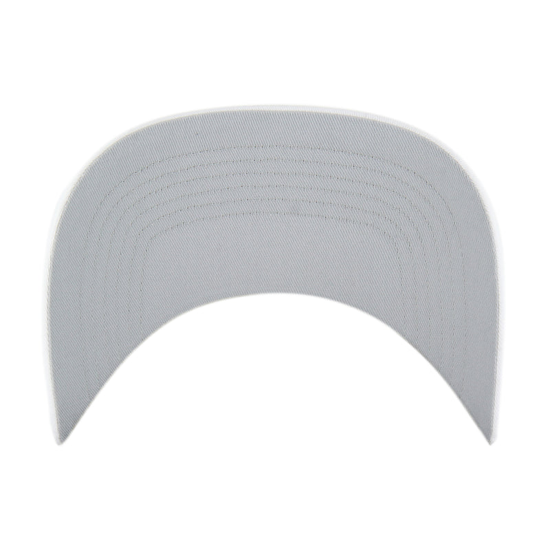 DENNY HAMLIN / JOE GIBBS ROSCOE '47 HITCH