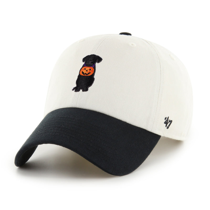 BLACK LAB TWO TONE '47 CLEAN UP