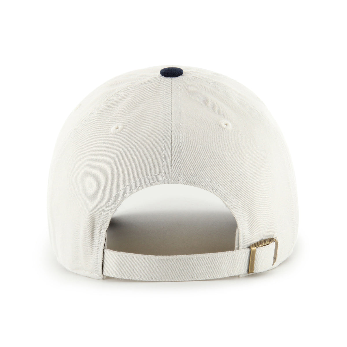 GOLDEN RETRIEVER TWO TONE '47 CLEAN UP