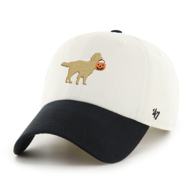 GOLDEN RETRIEVER TWO TONE '47 CLEAN UP