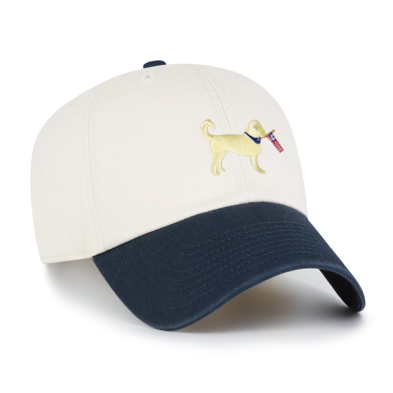 Goldendoodle Two Tone '47 Clean Up
