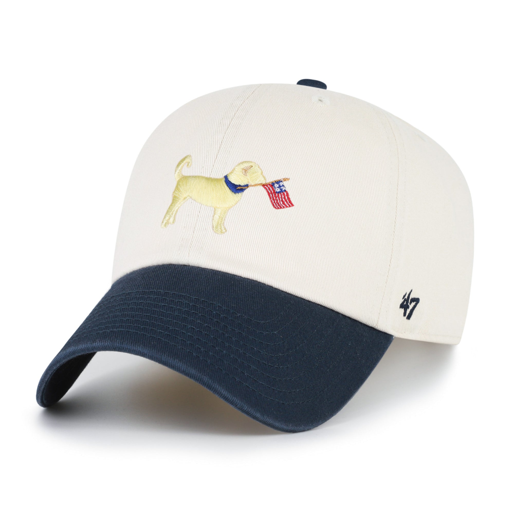 Goldendoodle Two Tone '47 Clean Up