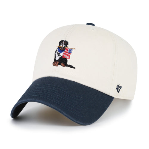 Bernese Mountain Dog Two Tone '47 Clean Up