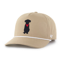 GOLDENDOODLE BASE RUNNER '47 CLEAN UP