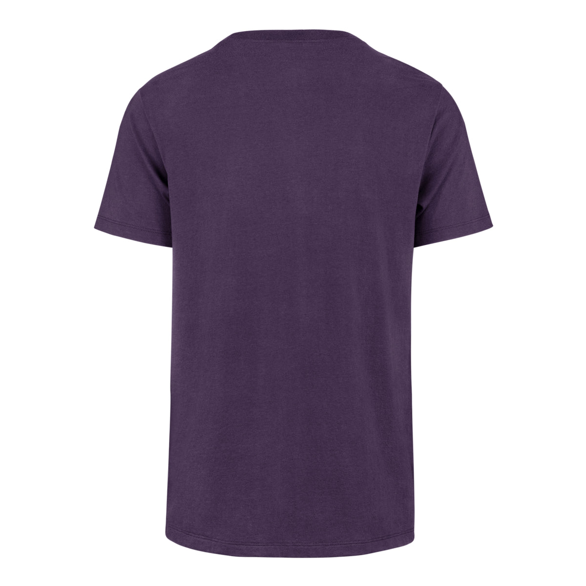 CHARLOTTE HORNETS PREMIER '47 FRANKLIN TEE
