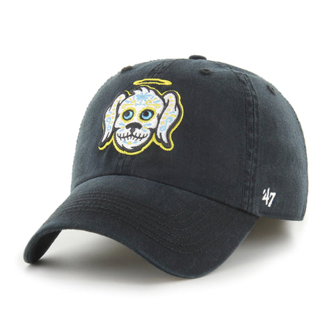 CHARLESTON RIVERDOGS COPA CLASSIC '47 FRANCHISE