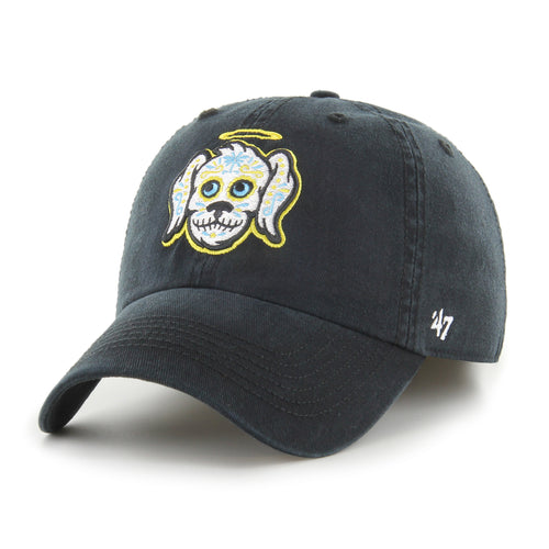 CHARLESTON RIVERDOGS COPA CLASSIC '47 FRANCHISE