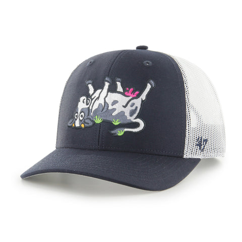 WICHITA WIND SURGE COPA '47 TRUCKER